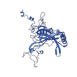 36181_8jdm_H_v1-1
Structure of the Human cytoplasmic Ribosome with human tRNA Tyr(GalQ34) and mRNA(UAU) (rotated state)
