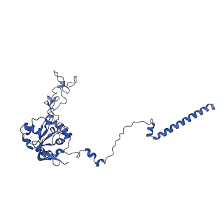 36181_8jdm_I_v1-1
Structure of the Human cytoplasmic Ribosome with human tRNA Tyr(GalQ34) and mRNA(UAU) (rotated state)