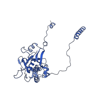 36181_8jdm_J_v1-1
Structure of the Human cytoplasmic Ribosome with human tRNA Tyr(GalQ34) and mRNA(UAU) (rotated state)