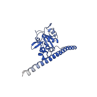 36181_8jdm_L_v1-1
Structure of the Human cytoplasmic Ribosome with human tRNA Tyr(GalQ34) and mRNA(UAU) (rotated state)