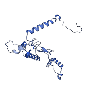 36181_8jdm_Q_v1-1
Structure of the Human cytoplasmic Ribosome with human tRNA Tyr(GalQ34) and mRNA(UAU) (rotated state)