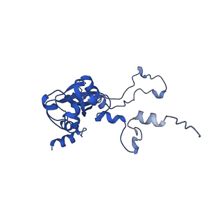 36181_8jdm_S_v1-1
Structure of the Human cytoplasmic Ribosome with human tRNA Tyr(GalQ34) and mRNA(UAU) (rotated state)