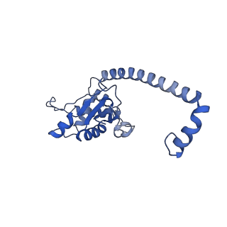 36181_8jdm_T_v1-1
Structure of the Human cytoplasmic Ribosome with human tRNA Tyr(GalQ34) and mRNA(UAU) (rotated state)