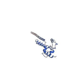 36181_8jdm_W_v1-1
Structure of the Human cytoplasmic Ribosome with human tRNA Tyr(GalQ34) and mRNA(UAU) (rotated state)