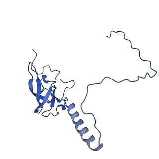 36181_8jdm_Y_v1-1
Structure of the Human cytoplasmic Ribosome with human tRNA Tyr(GalQ34) and mRNA(UAU) (rotated state)