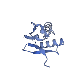 36181_8jdm_Z_v1-1
Structure of the Human cytoplasmic Ribosome with human tRNA Tyr(GalQ34) and mRNA(UAU) (rotated state)