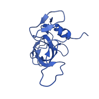 36181_8jdm_a_v1-1
Structure of the Human cytoplasmic Ribosome with human tRNA Tyr(GalQ34) and mRNA(UAU) (rotated state)