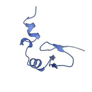 36181_8jdm_b_v1-1
Structure of the Human cytoplasmic Ribosome with human tRNA Tyr(GalQ34) and mRNA(UAU) (rotated state)