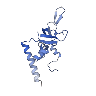 36181_8jdm_d_v1-1
Structure of the Human cytoplasmic Ribosome with human tRNA Tyr(GalQ34) and mRNA(UAU) (rotated state)