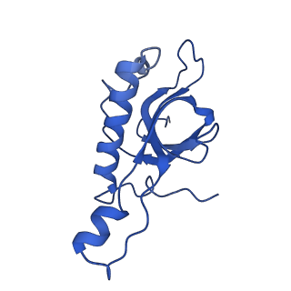 36181_8jdm_e_v1-1
Structure of the Human cytoplasmic Ribosome with human tRNA Tyr(GalQ34) and mRNA(UAU) (rotated state)