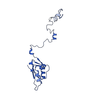 36181_8jdm_f_v1-1
Structure of the Human cytoplasmic Ribosome with human tRNA Tyr(GalQ34) and mRNA(UAU) (rotated state)