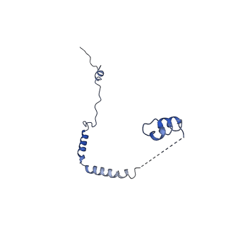 36181_8jdm_g_v1-1
Structure of the Human cytoplasmic Ribosome with human tRNA Tyr(GalQ34) and mRNA(UAU) (rotated state)