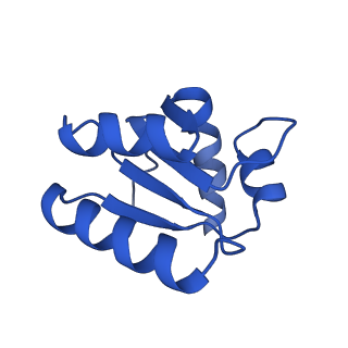 36181_8jdm_h_v1-1
Structure of the Human cytoplasmic Ribosome with human tRNA Tyr(GalQ34) and mRNA(UAU) (rotated state)