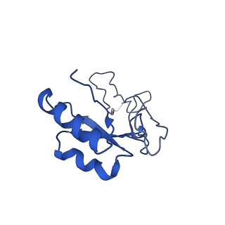 36181_8jdm_j_v1-1
Structure of the Human cytoplasmic Ribosome with human tRNA Tyr(GalQ34) and mRNA(UAU) (rotated state)