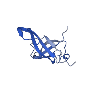 36181_8jdm_k_v1-1
Structure of the Human cytoplasmic Ribosome with human tRNA Tyr(GalQ34) and mRNA(UAU) (rotated state)