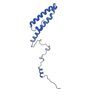 36181_8jdm_m_v1-1
Structure of the Human cytoplasmic Ribosome with human tRNA Tyr(GalQ34) and mRNA(UAU) (rotated state)
