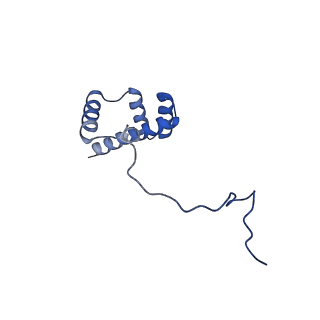 36181_8jdm_n_v1-1
Structure of the Human cytoplasmic Ribosome with human tRNA Tyr(GalQ34) and mRNA(UAU) (rotated state)