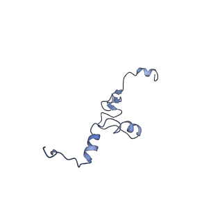 36181_8jdm_o_v1-1
Structure of the Human cytoplasmic Ribosome with human tRNA Tyr(GalQ34) and mRNA(UAU) (rotated state)