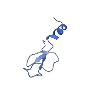 36181_8jdm_r_v1-1
Structure of the Human cytoplasmic Ribosome with human tRNA Tyr(GalQ34) and mRNA(UAU) (rotated state)