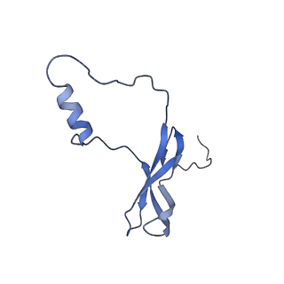 36181_8jdm_t_v1-1
Structure of the Human cytoplasmic Ribosome with human tRNA Tyr(GalQ34) and mRNA(UAU) (rotated state)