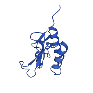 36181_8jdm_v_v1-1
Structure of the Human cytoplasmic Ribosome with human tRNA Tyr(GalQ34) and mRNA(UAU) (rotated state)
