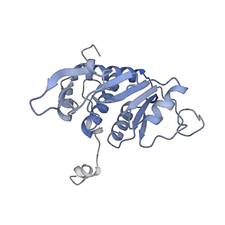 36181_8jdm_x_v1-1
Structure of the Human cytoplasmic Ribosome with human tRNA Tyr(GalQ34) and mRNA(UAU) (rotated state)