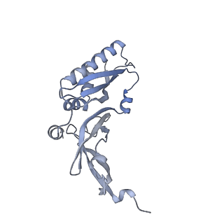 36181_8jdm_y_v1-1
Structure of the Human cytoplasmic Ribosome with human tRNA Tyr(GalQ34) and mRNA(UAU) (rotated state)