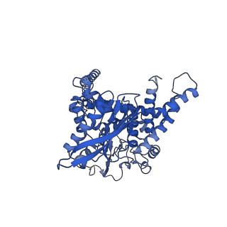 6631_3jd0_A_v1-2
Glutamate dehydrogenase in complex with GTP