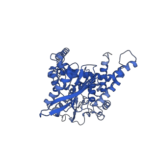 6631_3jd0_A_v1-3
Glutamate dehydrogenase in complex with GTP