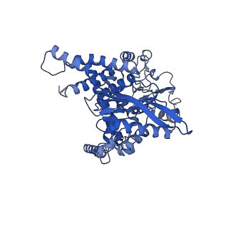 6631_3jd0_B_v1-2
Glutamate dehydrogenase in complex with GTP