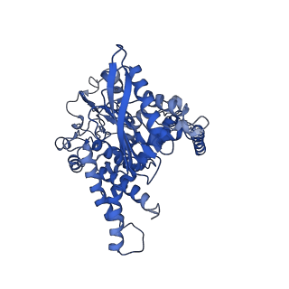 6631_3jd0_C_v1-3
Glutamate dehydrogenase in complex with GTP