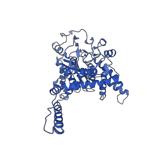 6631_3jd0_D_v1-2
Glutamate dehydrogenase in complex with GTP