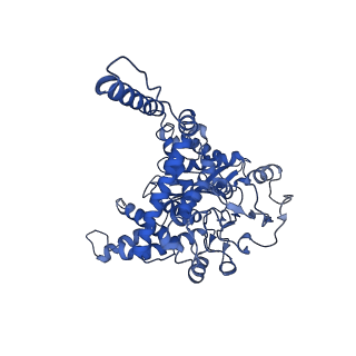 6631_3jd0_E_v1-2
Glutamate dehydrogenase in complex with GTP