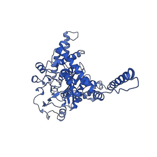 6631_3jd0_F_v1-2
Glutamate dehydrogenase in complex with GTP