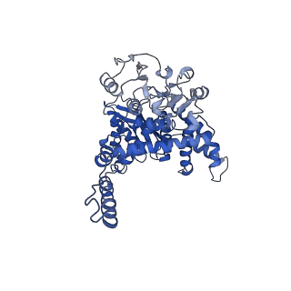 6632_3jd3_D_v1-2
Glutamate dehydrogenase in complex with NADH and GTP, open conformation