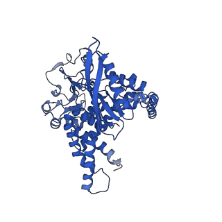 6633_3jd4_C_v1-3
Glutamate dehydrogenase in complex with NADH and GTP, closed conformation