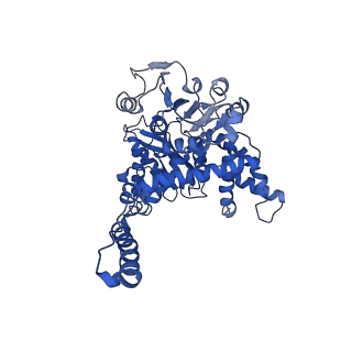 6633_3jd4_D_v1-2
Glutamate dehydrogenase in complex with NADH and GTP, closed conformation