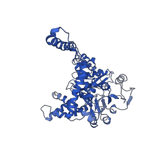 6633_3jd4_E_v1-3
Glutamate dehydrogenase in complex with NADH and GTP, closed conformation