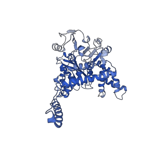 6634_3jd1_D_v1-2
Glutamate dehydrogenase in complex with NADH, closed conformation
