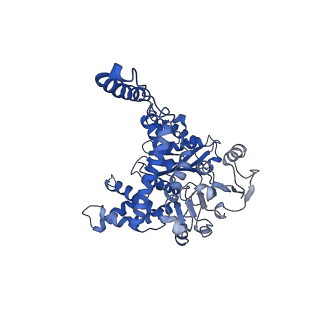 6634_3jd1_E_v1-3
Glutamate dehydrogenase in complex with NADH, closed conformation