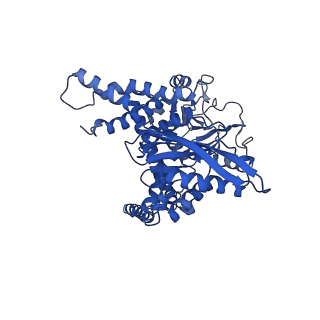 6635_3jd2_B_v1-2
Glutamate dehydrogenase in complex with NADH, open conformation