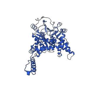 6635_3jd2_D_v1-2
Glutamate dehydrogenase in complex with NADH, open conformation