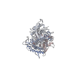 6640_3jd8_A_v1-4
cryo-EM structure of the full-length human NPC1 at 4.4 angstrom