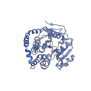 9801_6jd1_A_v1-1
Cryo-EM Structure of Sulfolobus solfataricus ketol-acid reductoisomerase (Sso-KARI) in complex with Mg2+, NADH, and CPD at pH7.5