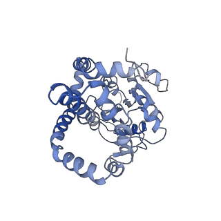 9801_6jd1_B_v1-1
Cryo-EM Structure of Sulfolobus solfataricus ketol-acid reductoisomerase (Sso-KARI) in complex with Mg2+, NADH, and CPD at pH7.5