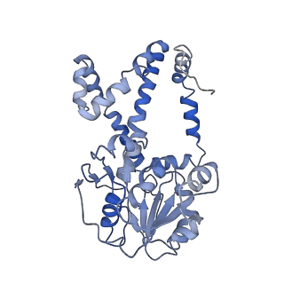 9801_6jd1_C_v1-2
Cryo-EM Structure of Sulfolobus solfataricus ketol-acid reductoisomerase (Sso-KARI) in complex with Mg2+, NADH, and CPD at pH7.5