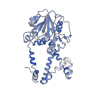 9801_6jd1_D_v1-1
Cryo-EM Structure of Sulfolobus solfataricus ketol-acid reductoisomerase (Sso-KARI) in complex with Mg2+, NADH, and CPD at pH7.5