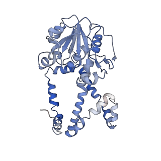 9801_6jd1_D_v1-2
Cryo-EM Structure of Sulfolobus solfataricus ketol-acid reductoisomerase (Sso-KARI) in complex with Mg2+, NADH, and CPD at pH7.5