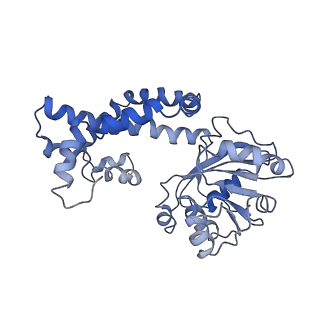 9801_6jd1_E_v1-1
Cryo-EM Structure of Sulfolobus solfataricus ketol-acid reductoisomerase (Sso-KARI) in complex with Mg2+, NADH, and CPD at pH7.5