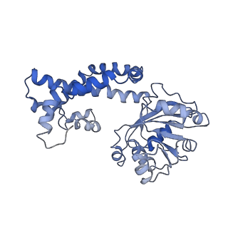 9801_6jd1_E_v1-2
Cryo-EM Structure of Sulfolobus solfataricus ketol-acid reductoisomerase (Sso-KARI) in complex with Mg2+, NADH, and CPD at pH7.5